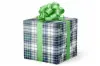 24X417 VAL-509 BLUE/GREEN PLAID 50#